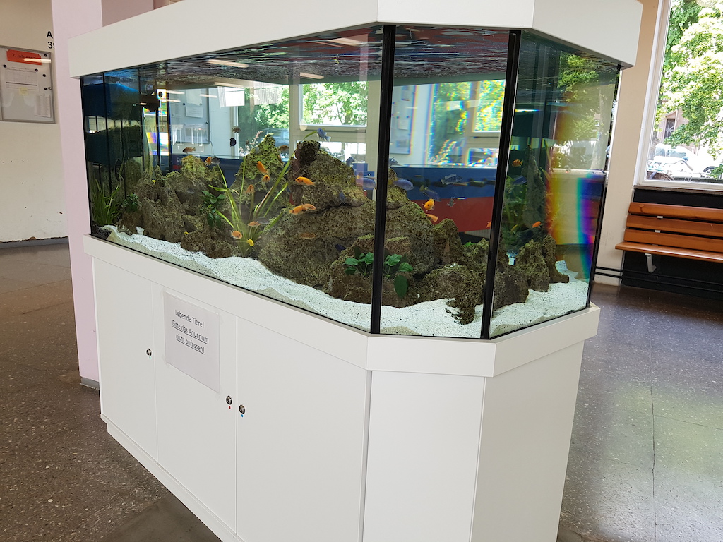 Aquarium12