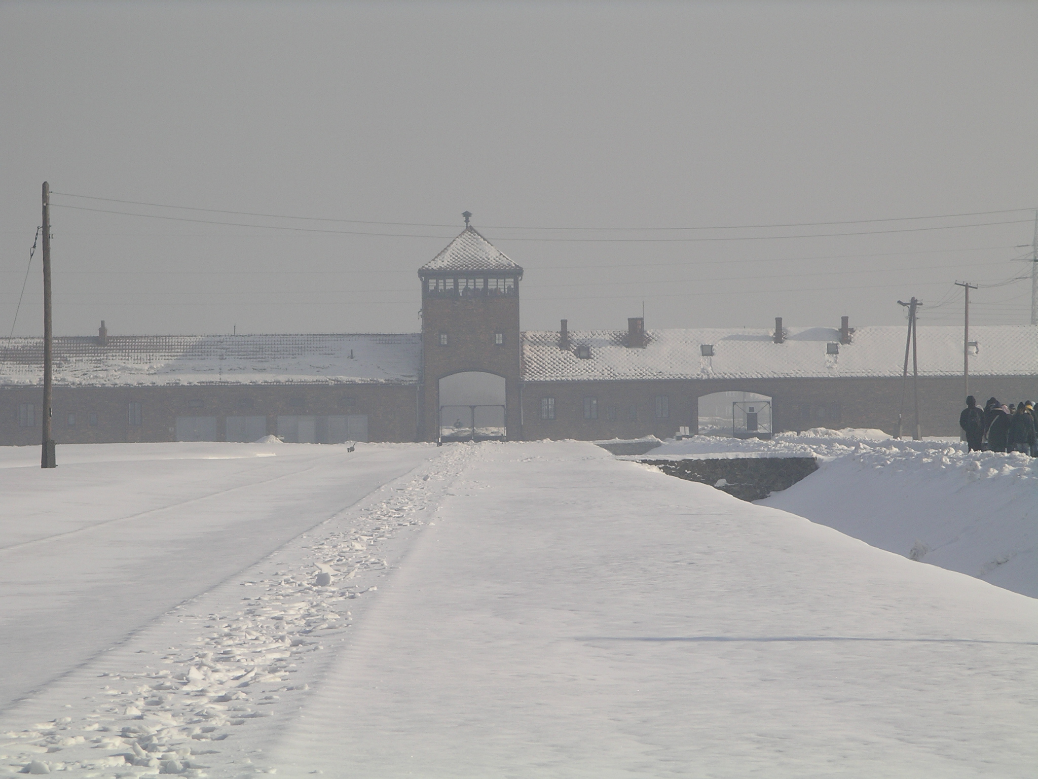  Birkenau Ort der Vernichtung