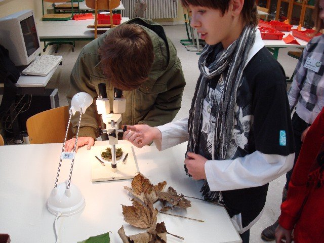tag-der-offenen-tuer-2009-36